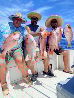 Red Snapper fishing in Surfside Beach, Texas