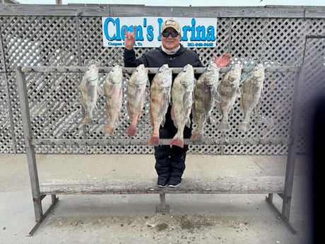Fishing in Corpus Christi, Texas