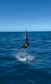 Fishing in Key West, Florida