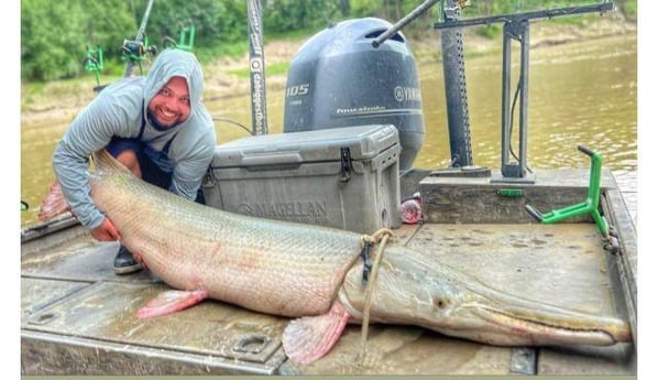Alligator Gar Fishing in Dallas, Texas