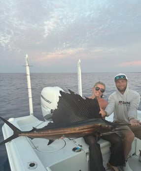 Sailfish Fishing in Key West, Florida