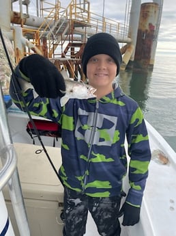 Speckled Trout Fishing in Dauphin Island, Alabama