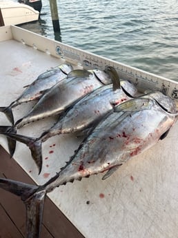 Fishing in Jupiter, Florida