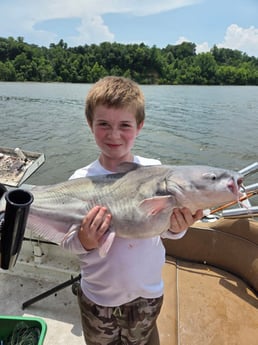 Fishing in Sandston, Virginia