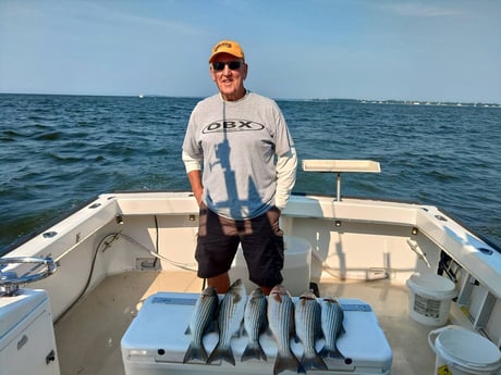 Fishing in Kent Narrows, Maryland