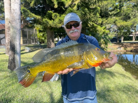 Fishing in Davie, Florida