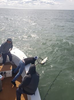 Redfish Fishing in Hatteras, North Carolina