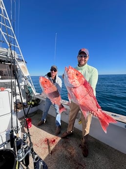 Fishing in Orange Beach, Alabama