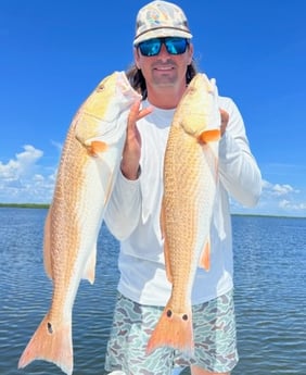 Redfish fishing in Placida, Florida