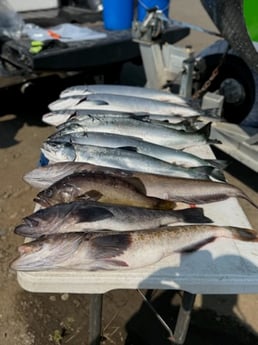 Fishing in Tillamook, Oregon