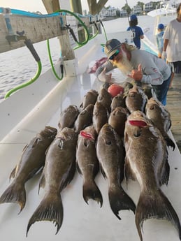 Fishing in Orange Beach, Alabama