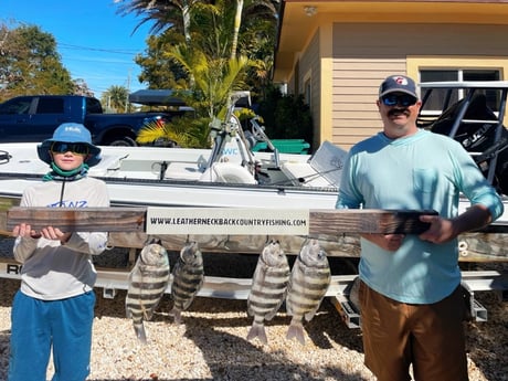 Sheepshead Fishing in Tavernier, Florida
