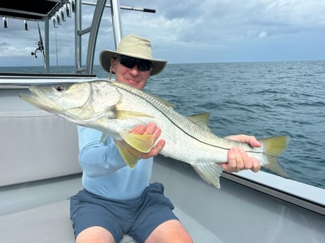 Fishing in Naples, Florida