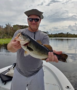 Largemouth Bass Fishing in St. Augustine, Florida