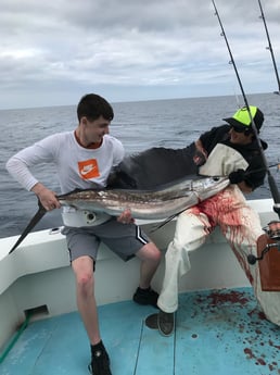 Sailfish Fishing in West Palm Beach, Florida