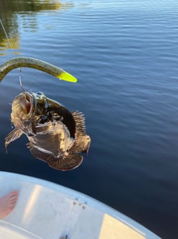 Fishing in Pembroke Pines, Florida