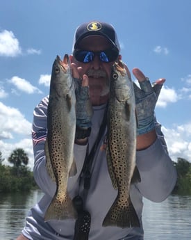 Speckled Trout / Spotted Seatrout fishing in Hudson, Florida