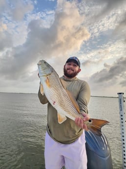 Redfish Fishing in Boothville-Venice, Louisiana