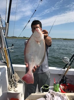 Flounder Fishing in Freeport, Nassau County
