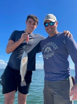 Redfish Fishing in Sarasota, Florida