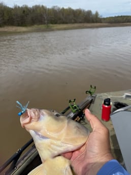 Fishing in Saint Charles, Missouri