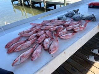 Fishing in Foley, Alabama