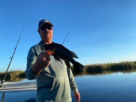 Fishing in Pembroke Pines, Florida