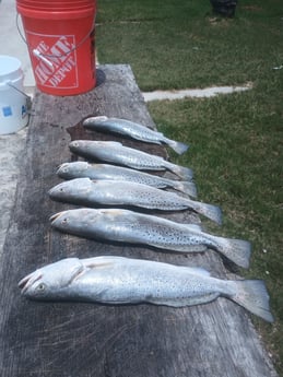 Fishing in Rockport, Texas