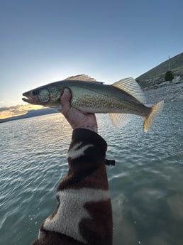 Fishing in Cody, Wyoming