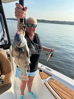Black Drum fishing in Little River, South Carolina