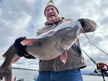 Fishing in Decatur, Alabama