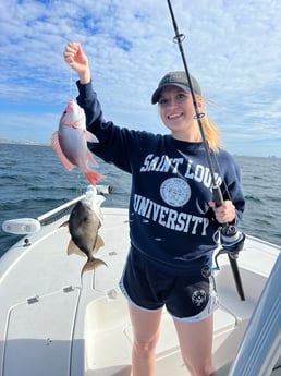 Red Snapper, Triggerfish Fishing in Panama City, Florida