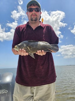 Fishing in Cedar Key, Florida