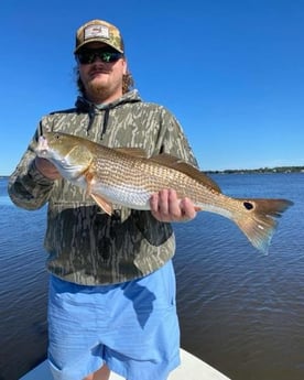 Redfish Fishing in Beaufort, North Carolina