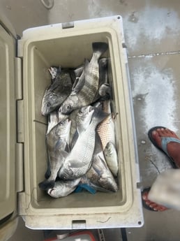 Fishing in Rockport, Texas