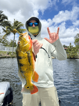Fishing in Miami, Florida