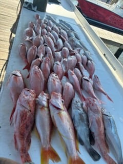 Fishing in Foley, Alabama