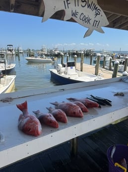 Fishing in Gulf Shores, Alabama