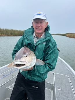Redfish Fishing in Boothville-Venice, Louisiana, USA