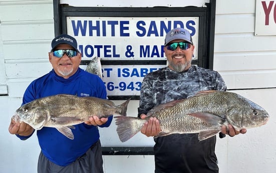 Black Drum Fishing in Port Isabel, Texas