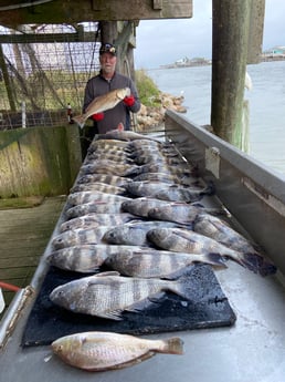 Redfish, Sheepshead Fishing in Surfside Beach, Texas