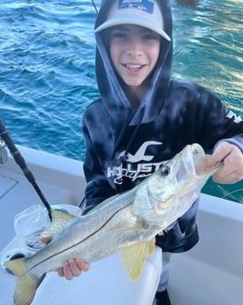 Snook Fishing in Miami Beach, Florida
