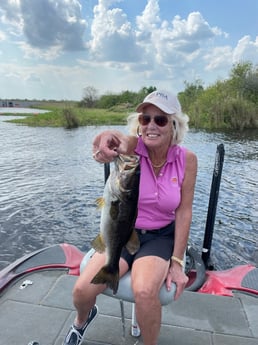 Largemouth Bass Fishing in Lake Okeechobee, Florida