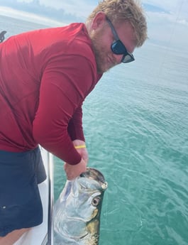 Tarpon fishing in Trails End Road, Wilmington, N, North Carolina
