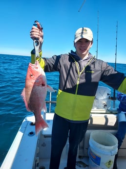 Red Snapper fishing in Charleston, South Carolina