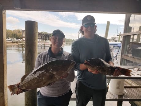 Gag Grouper Fishing in Crystal River, Florida