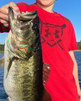 Largemouth Bass Fishing in Kissimmee, Florida