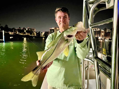 Snook Fishing in Sarasota, Florida