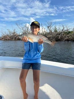 Fishing in Fort Myers, Florida