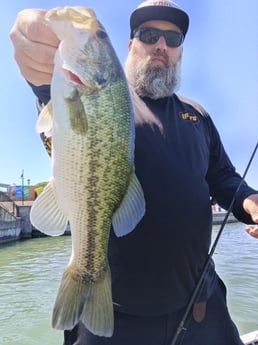 Fishing in Alba, Texas